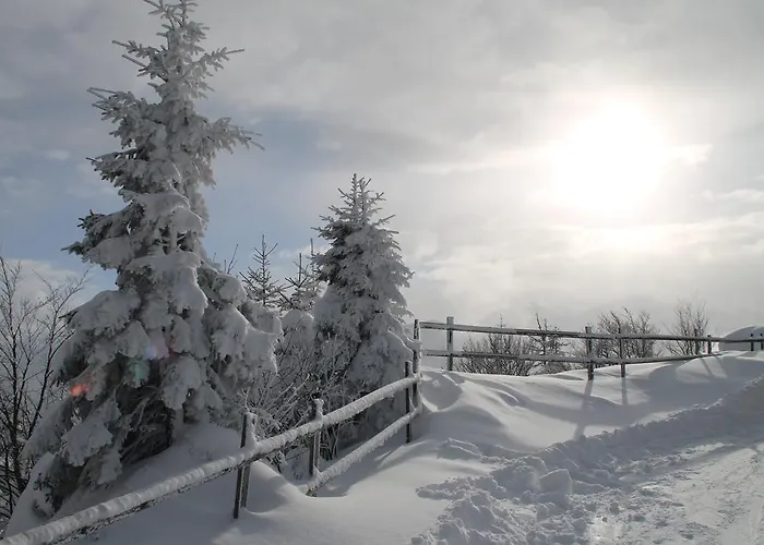 فيرينفونونغ ألبنغلوك شقة سانكت ياكوب في هاوس